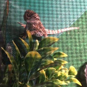 Meet your Posher, Joan